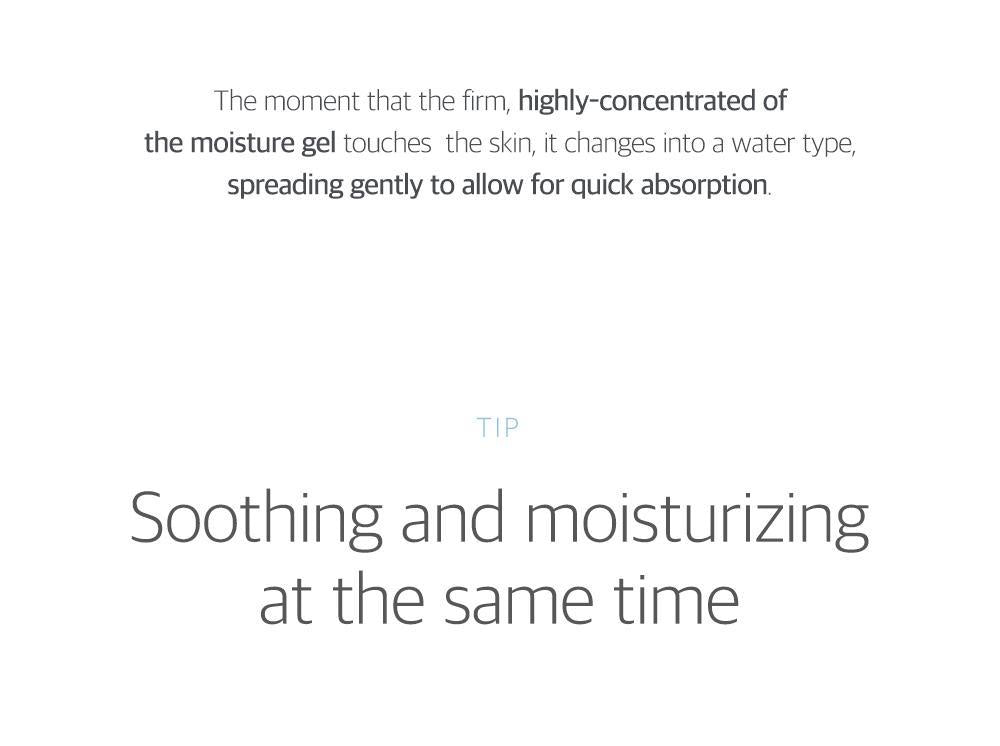 [ROUNDLAB] 1025 Dokdo Ampoule 45g - Glamful-Beauty.com